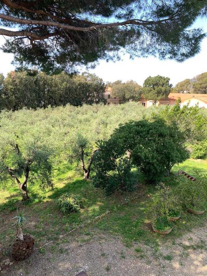 San Giuseppe Casa Per Ferie Hotel Quercianella Kültér fotó